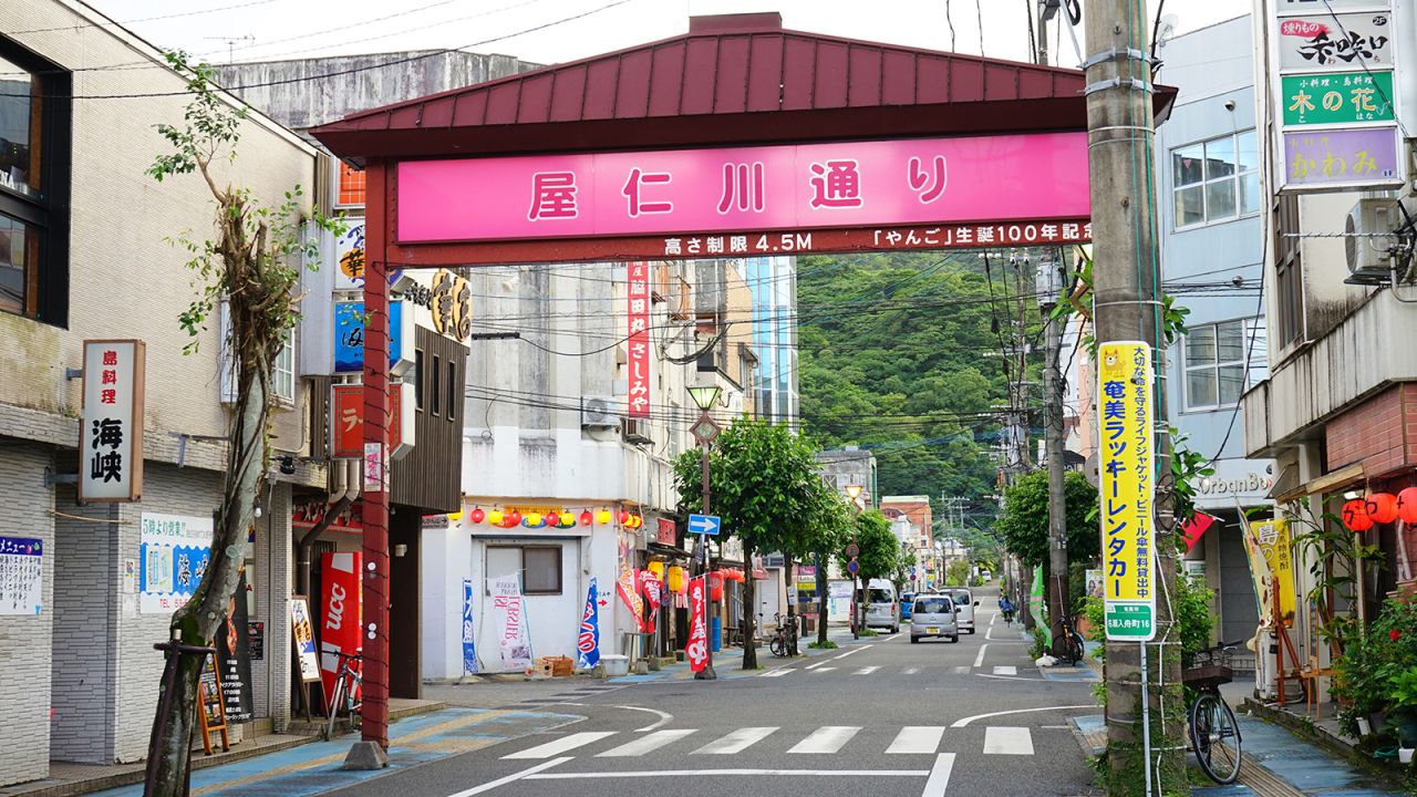 <strong>Yanigawa Street: </strong>Amami's remote position far from the mainland has helped preserve the island's endemic identity. Today, two dialects of the Amami language are still spoken in Amami Oshima.