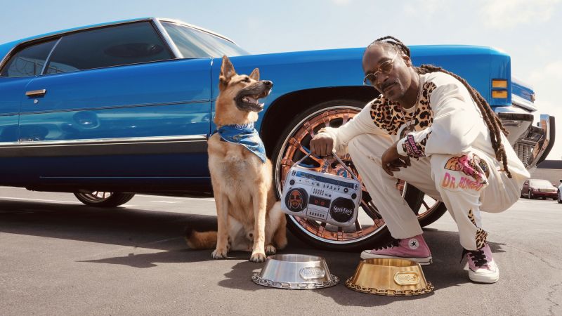After rapper launches pet accessory brand, now your dog can dress like Snoop Dogg | CNN Business