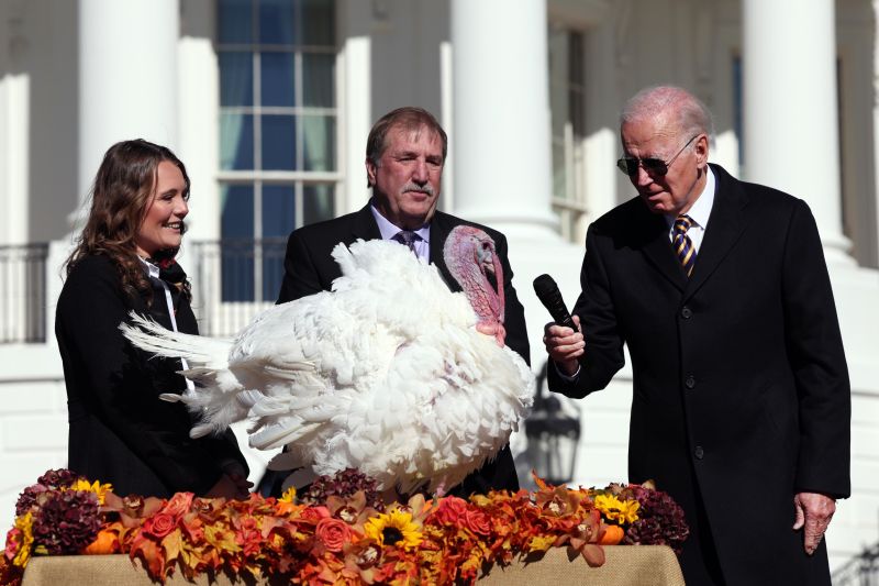 Biden Pardons Thanksgiving Turkeys: 'No Ballot Stuffing, No Fowl Play ...