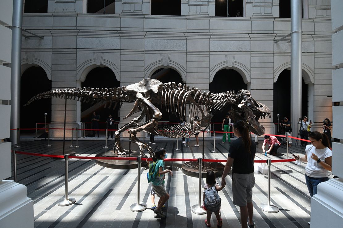 Visitors look at the skeleton of a Tyrannosaurus Rex named Shen at the Victoria Theatre and Concert Hall in Singapore on Oct. 28, 2022.