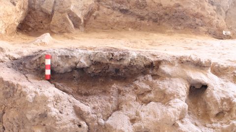 A Neanderthal hearth was unearthed at Shanidar Cave, where charred plant remains were also found.