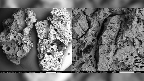 (From left) Breadlike food was found in Franchthi Cave in Greece; pulse-rich food with wild peas was uncovered in Shanidar Cave in northern Iraq.