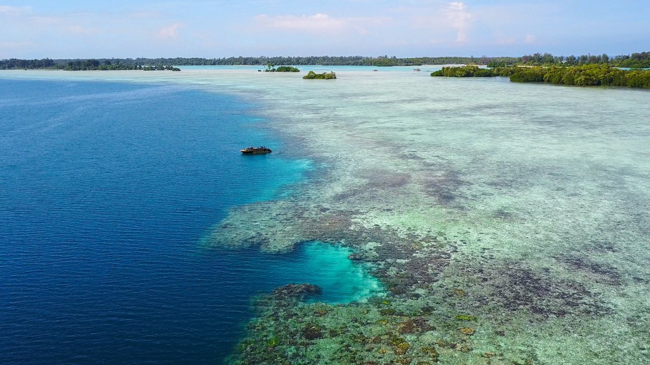 The Widi Reserve comprises multiple coral atolls like this one.