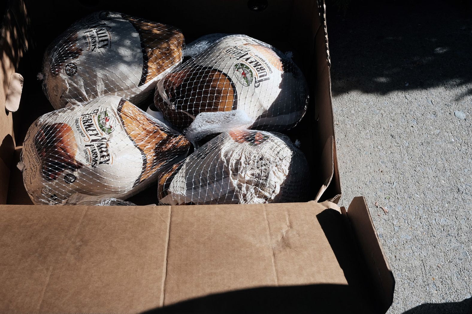 Free Thanksgiving turkeys are distributed Monday at the Holy Innocents Roman Catholic Church in Brooklyn, New York.