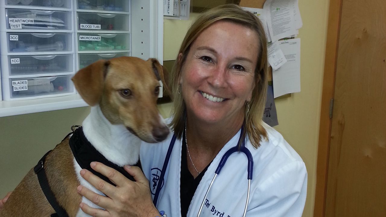 Teri Byrd, of 4 Paws Veterinary Clinic, in Vashon, Washington.