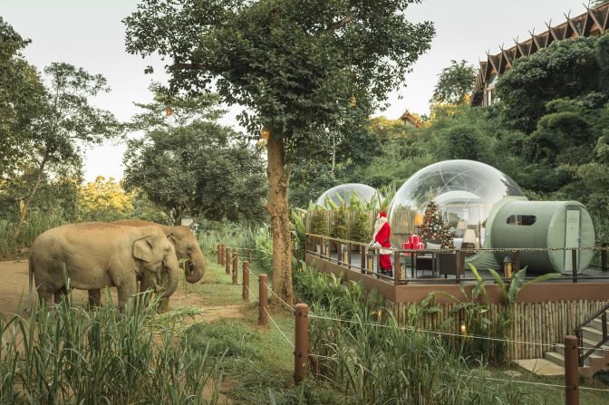 <strong>Anantara Golden Triangle Elephant Camp & Resort:</strong> In Thailand's Chiang Rai province, this resort offers a "jungle bubble" experience where guests can sleep among elephants.