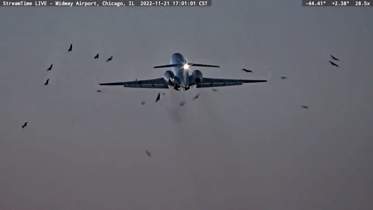 plane birds collision vpx