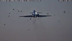 plane birds collision vpx