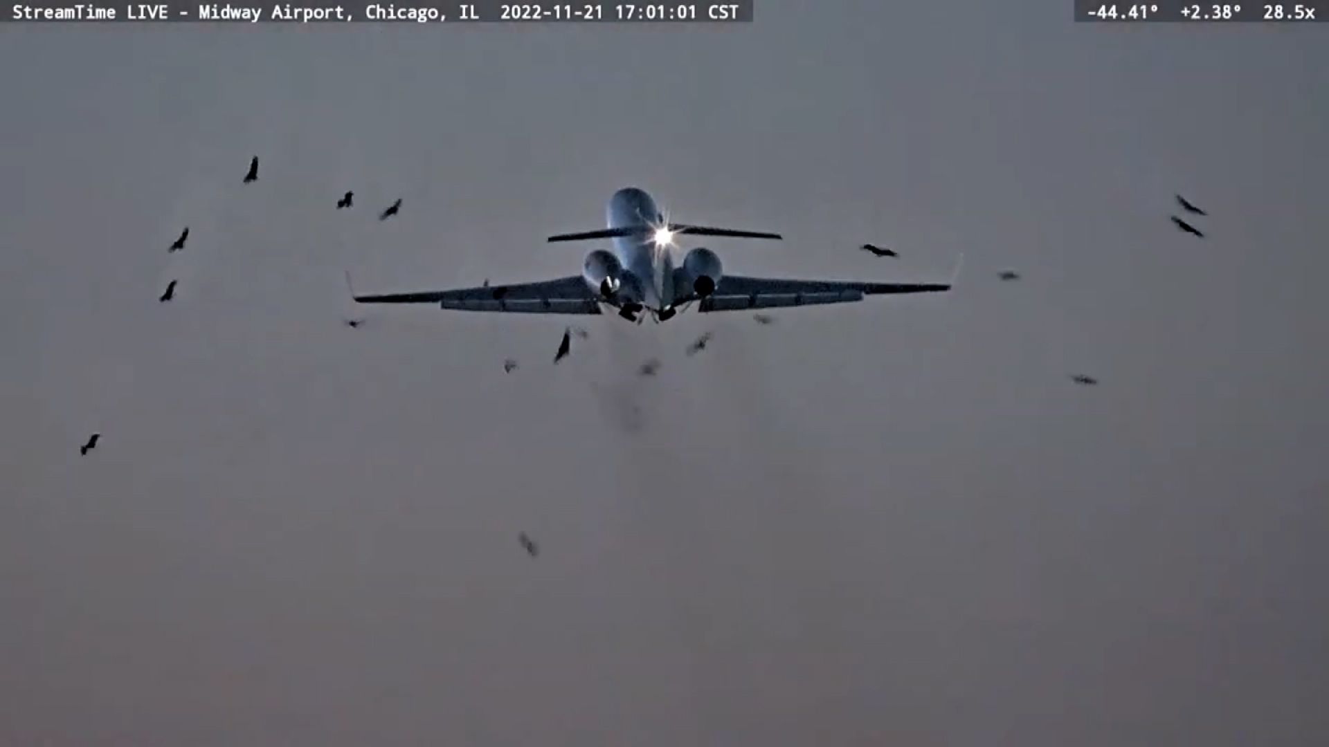 Video shows moment US military plane collides with flock of birds