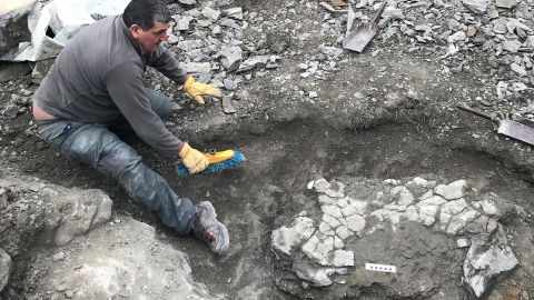 A member of the research team at the excavation site is seen in the Pyrenees.  Turtle remains were originally discovered in 2016, but researchers returned in 2021 and found more fossil fragments. 