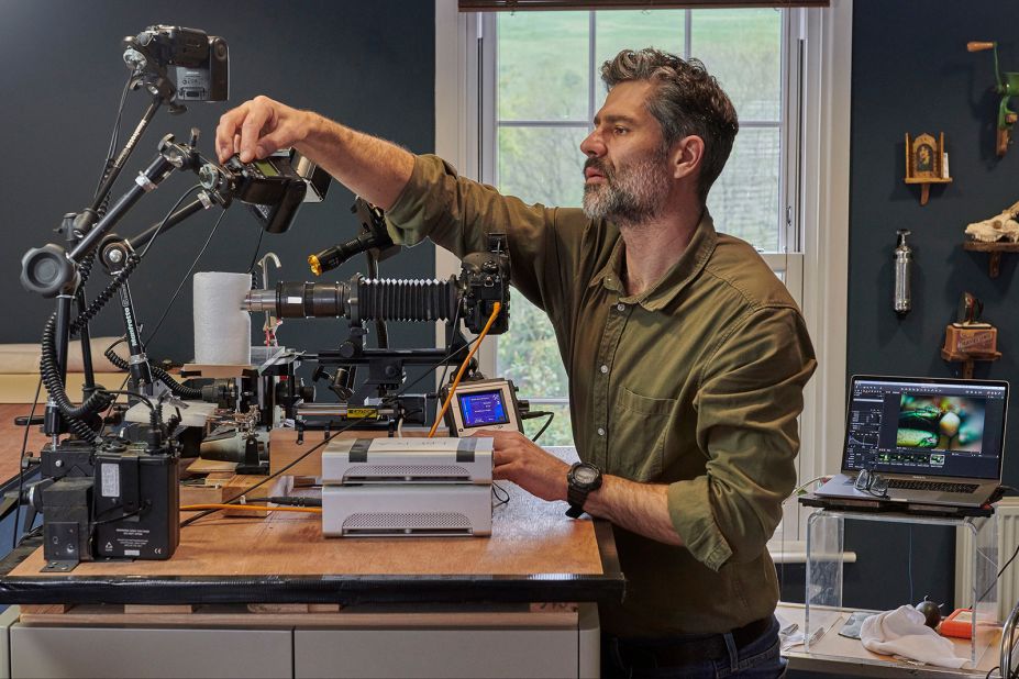 Biss says that "Extinct & Endangered" has been one of the most meaningful projects of his whole career. "If you hold on a pin an insect that is never going to fly on this planet again, primarily due to human influence, it's a humbling experience," he said.