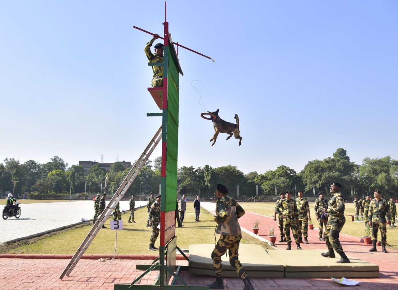 A trained dog of India's Border Security Force rehearses stunts in Amritsar, India, on Tuesday, November 22.