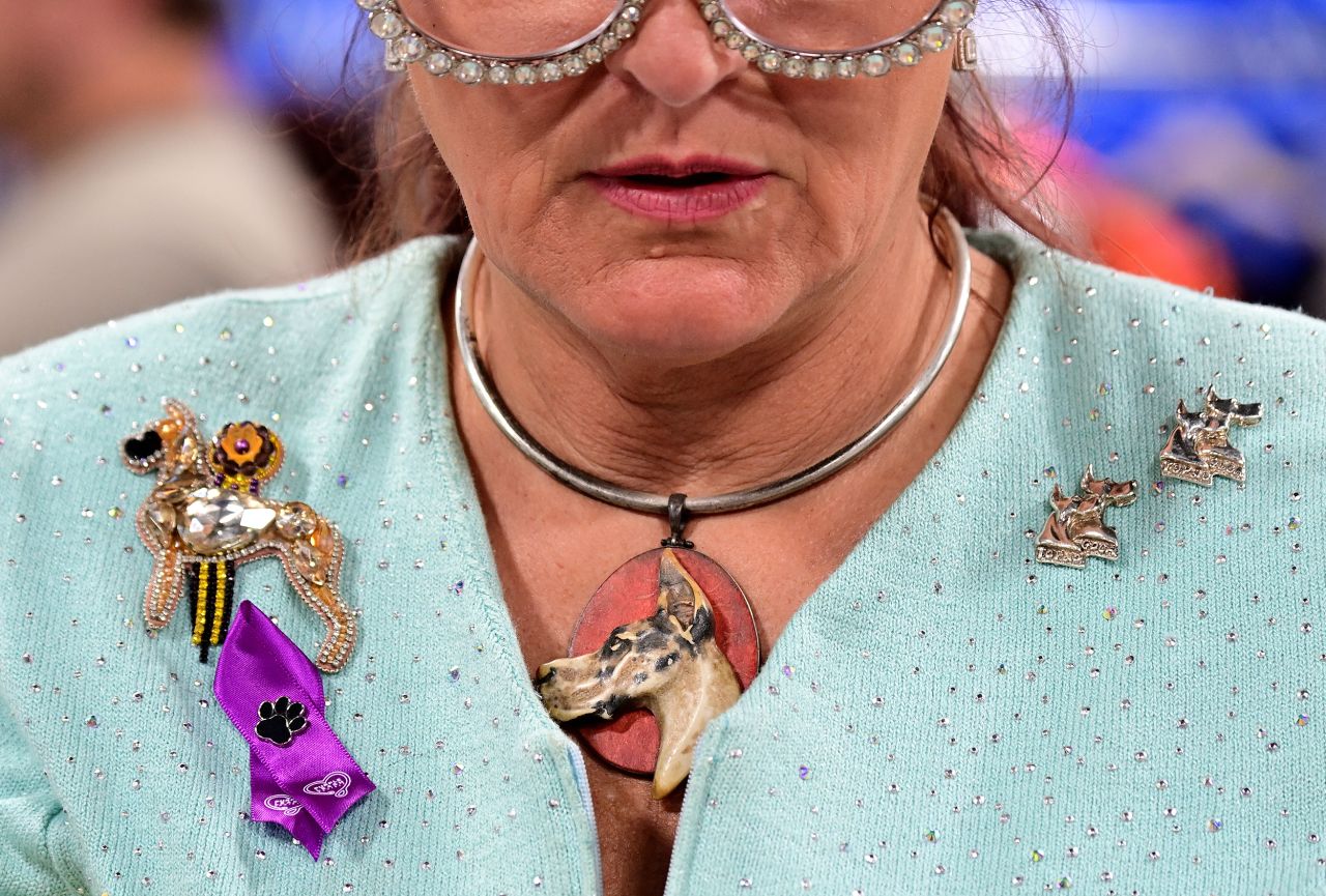 Brittany Cipriotti wears dog-themed jewelry during the National Dog Show in Oaks, Pennsylvania, on Saturday, November 19.