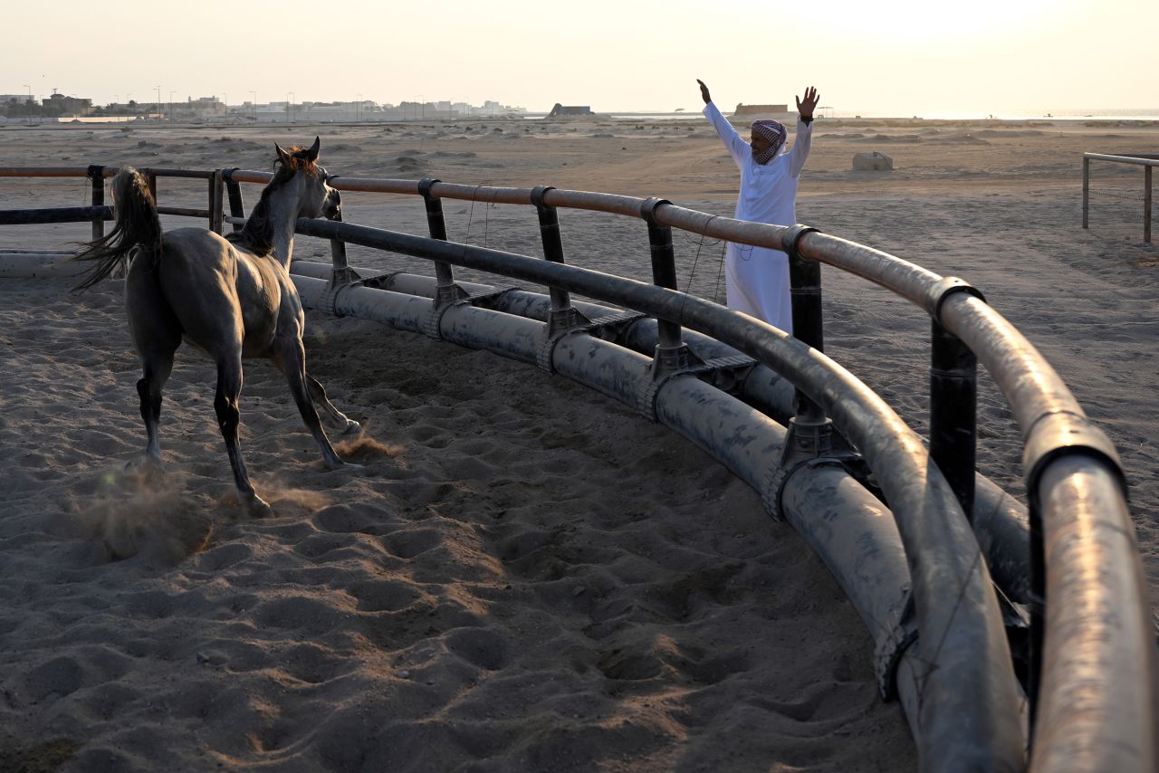 Khalid Al Nuaimi trains an Arabian racehorse in Al-Ruwais, Qatar, on Sunday, November 20.