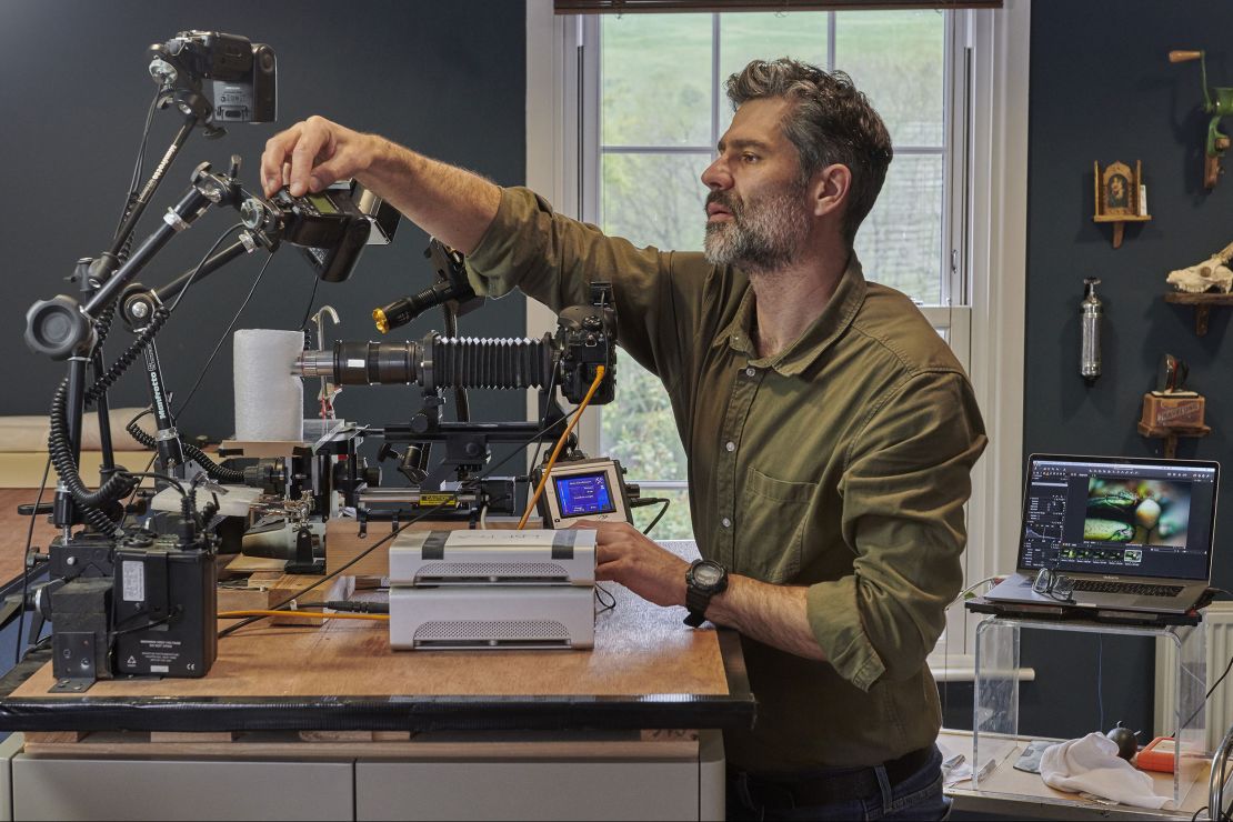 The insect specimens were couriered to the UK, where Levon Biss photographed them in his studio.