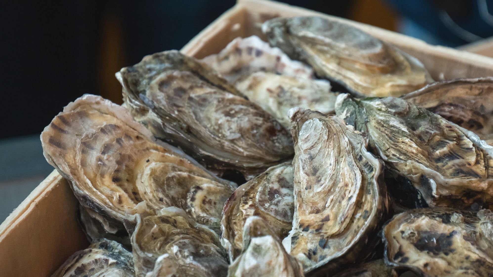 The FDA is advising consumers not to eat and businesses not to sell shipments of frozen half shell oysters harvested on February 6 and exported by a South Korean firm. 