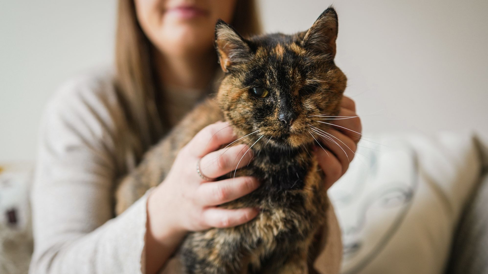 At the age of 26 years and 329 day, Flossie has been recognized as the oldest cat alive.