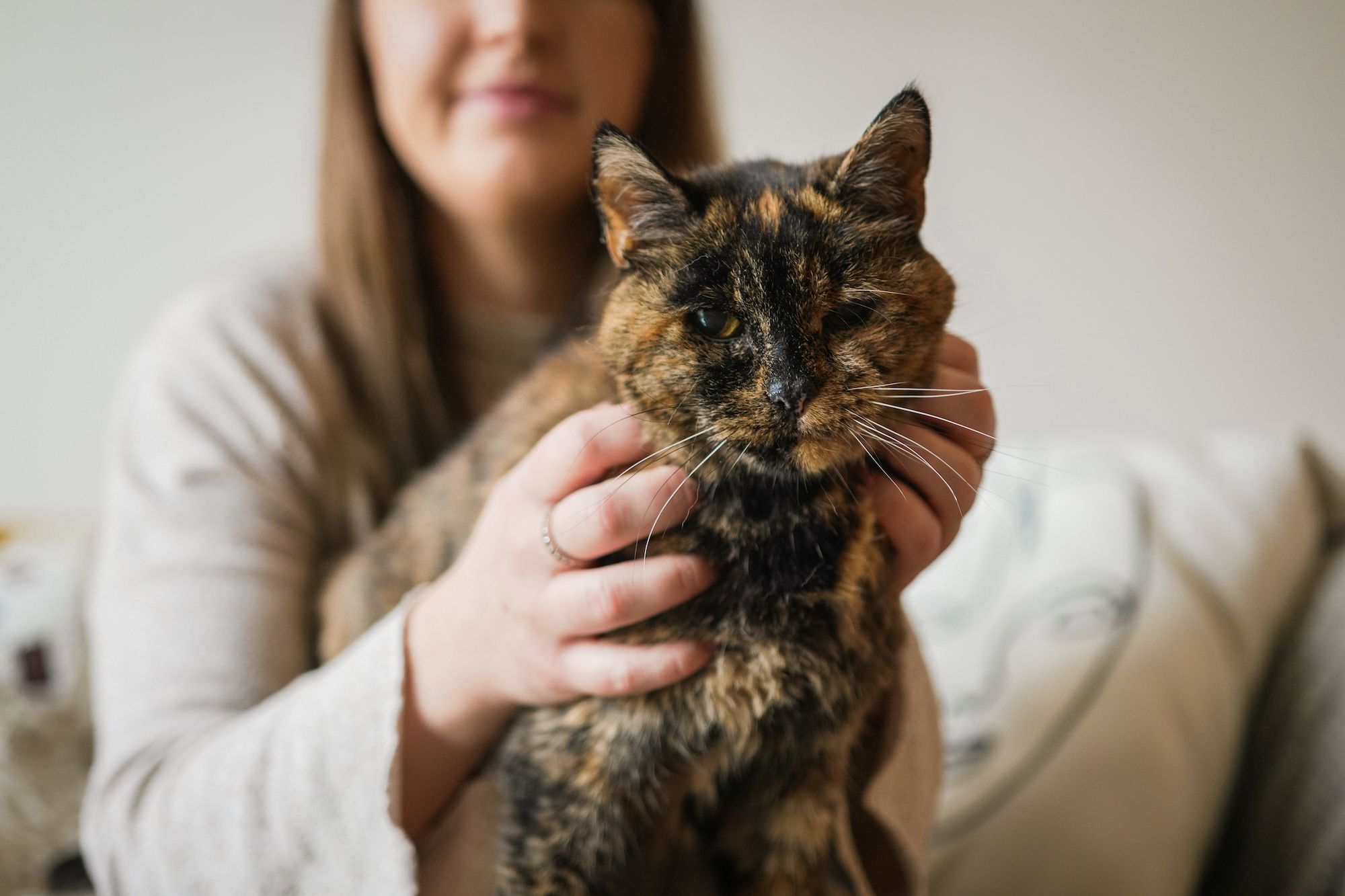 Flossie، the world's oldest living cat، is nearly 27 years old | CNN