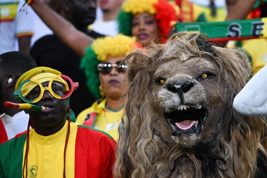 Senegal fans attend the match against Qatar. Senegal's football team is nicknamed the Lions of Teranga.
