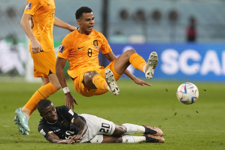 The Netherlands' Cody Gakpo is challenged by Ecuador's Jhegson Mendez, bottom, during their teams' 1-1 draw on November 25. Gakpo scored in the sixth minute for the Dutch.