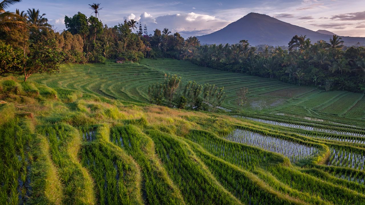 <strong>Island of the Gods: </strong>Bali, Indonesia's most popular tourism destination, is home to beautiful beaches and dramatic landscapes. Click on for more images of this stunning sland and its attractions. 