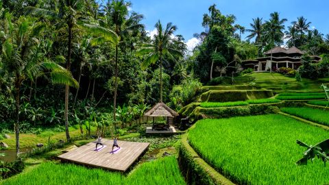 Four Seasons Bali at Sayan is set in a landscape of tropical gardens and terraced paddies.