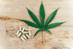 Studies use pills filled with powdered marijuana extract or a placebo substance.