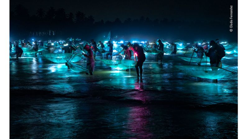 Fishermen try to catch glass eels in the Dominican Republic, shot by Dominican photographer Eladio Fernandez.