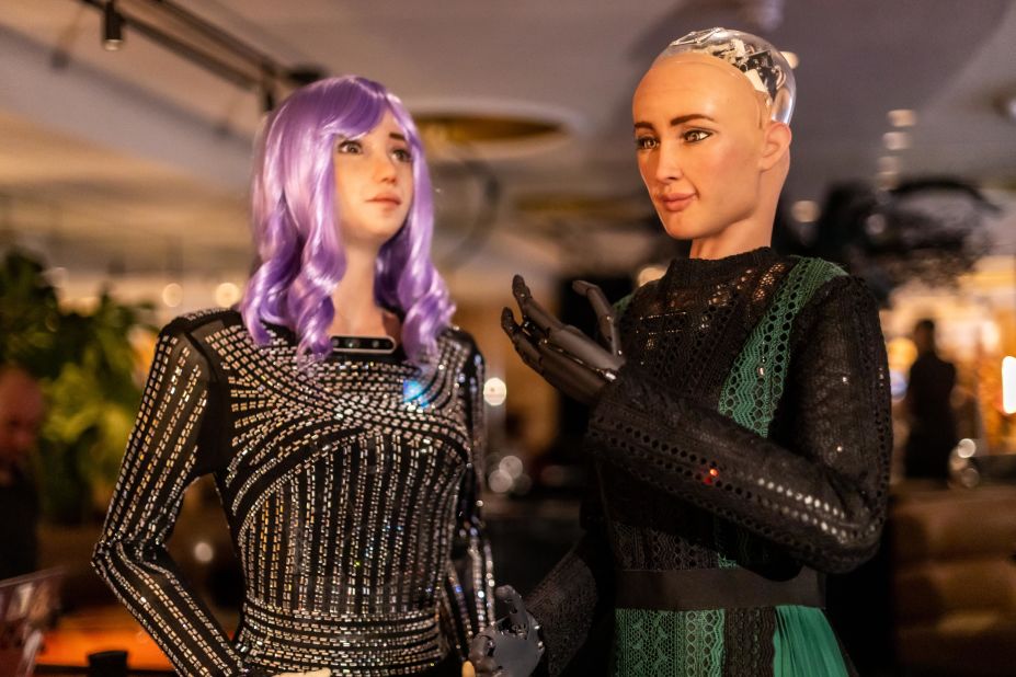 Hanson Robotics produces humanoid robots in a variety of shapes and sizes. According to Goertzel, the robots that have the likeness of a young woman are the most popular as they put people most at ease. Pictured, Desdemona and Sophia posing together. 