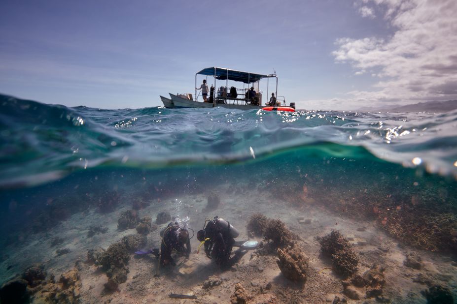 The water's surface splits the scene in two: above, a research vessel drifts through the seas, while below two scuba divers install cages on the sandy seabed surrounded by corals. Andreas Eich captured the photo in Fiji.
