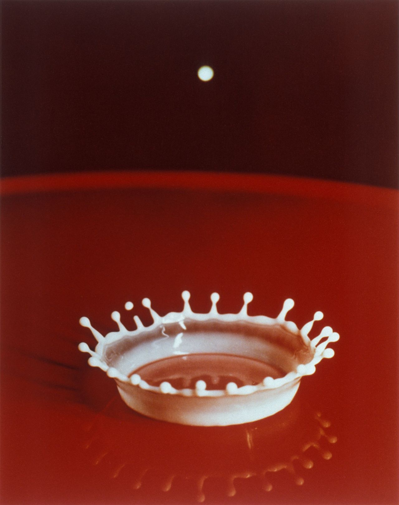 Another of Edgerton's famous photos, taken in 1957, shows the crown-like splash produced by milk droplets.