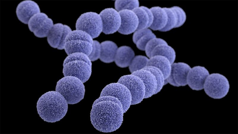 CDC Investigating Apparent Rise In Strep A Infections In Children CNN   221202120123 Strep A Illustration 