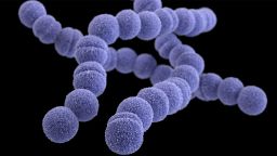 Group A Streptococcus infections are rising in the UK, having so far caused 6 deaths under the age of 10.