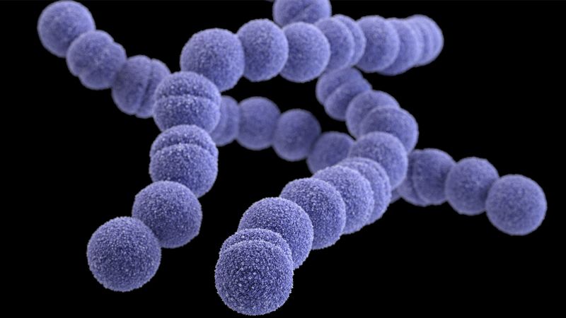 What is Strep A, the common bacterium that has killed 6 children in the UK?