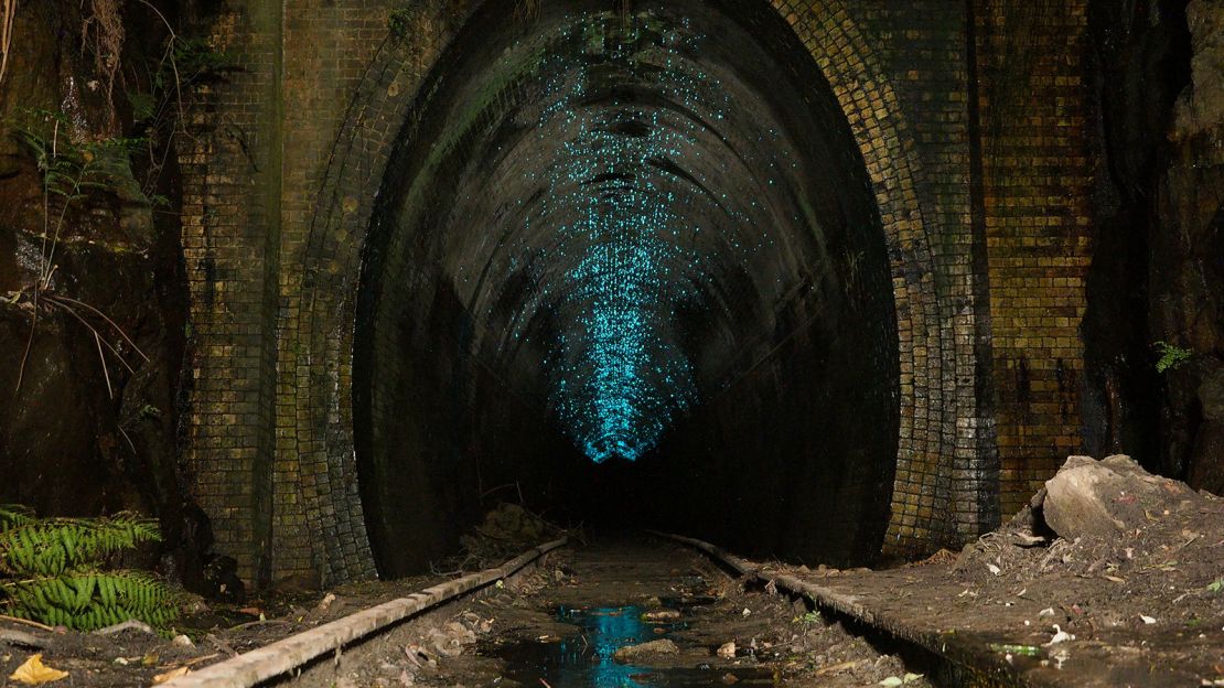 Worm glow tunnel