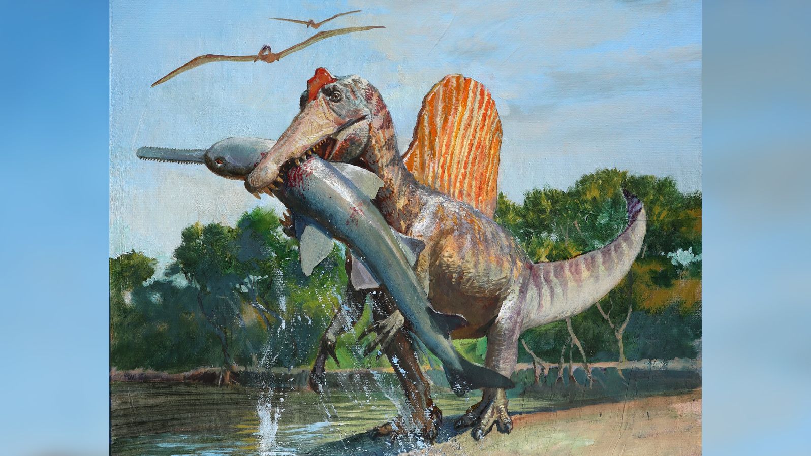Spinosaurus was likely better adapted for hunting along shorelines instead of diving underwater.