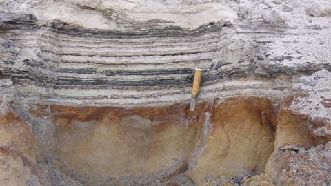 Close-up van organisch materiaal in de kustsedimenten van de Cape Copenhaven Formation in het noorden van Groenland.