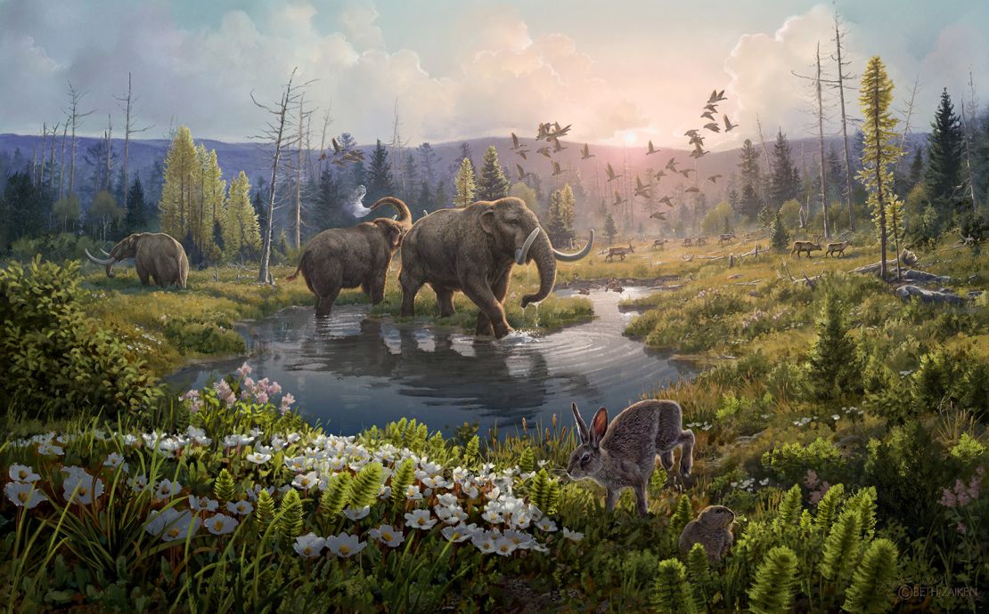 An artist's reconstruction of what the Kap København Formation in northern Greenland might have looked like 2 million years ago.