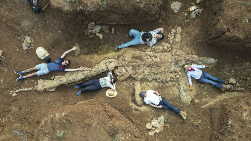 Plesiosaurus: Pemburu fosil di Australia telah menemukan kerangka berumur 100 juta tahun