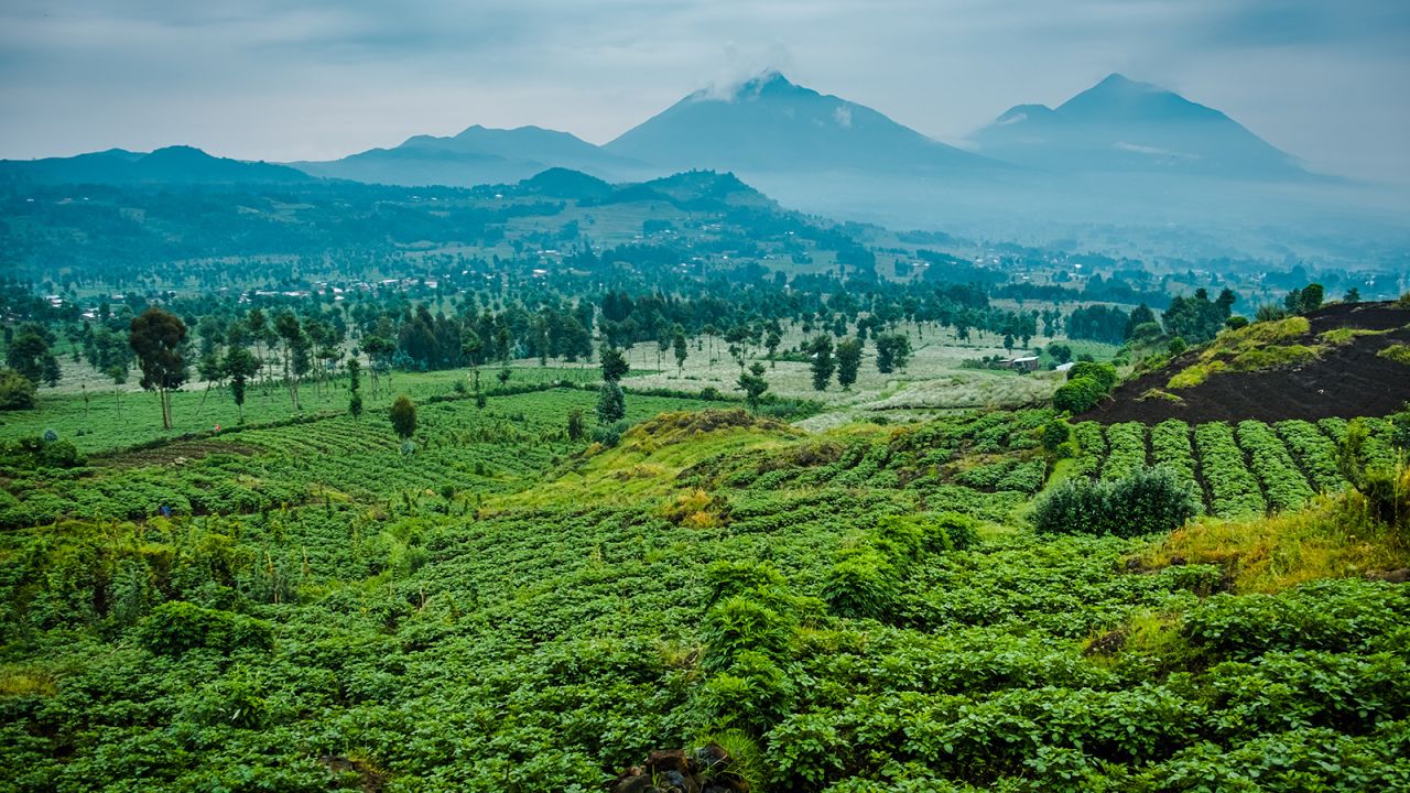 <strong>Rwanda:</strong> Rwanda, in Central Africa, is known as the Land of a Thousand Hills. This is the view of Mount Sabyinyo and Muhavura from Mount Bisoke volcano. 
