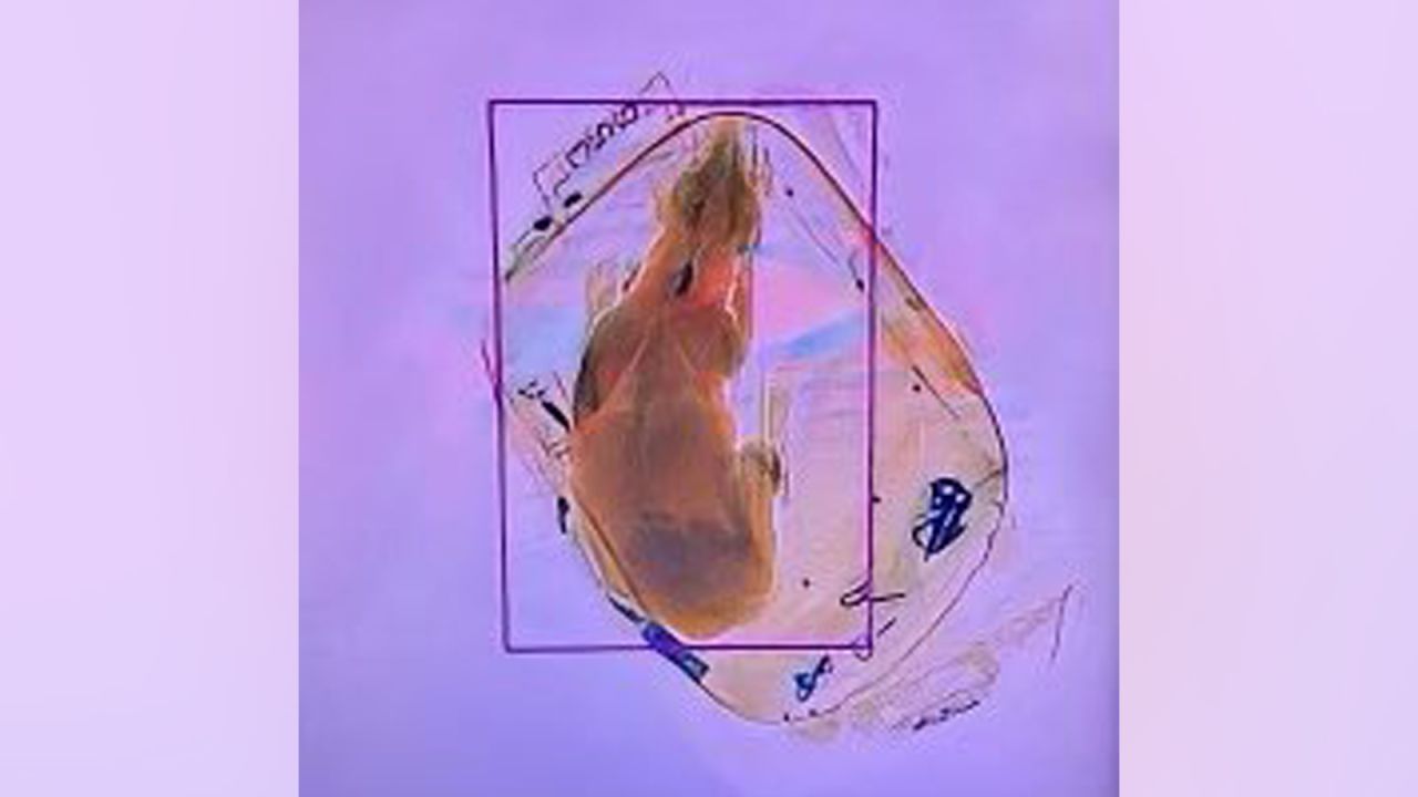 A dog is seen in a backpack through the X-ray at the Dane County Regional Airport in Madison, Wisconsin.