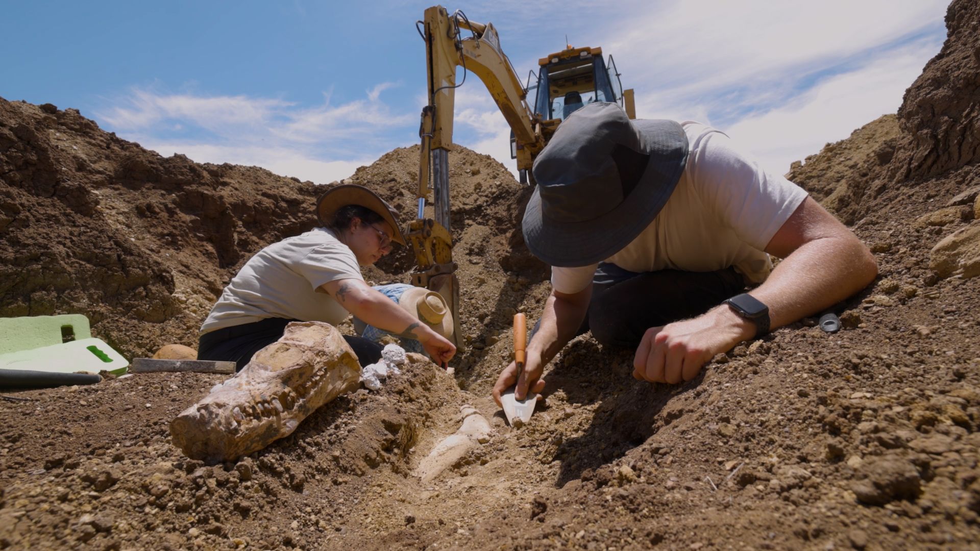 Video: 100 million-year-old plesiosaur fossil discovered in Australia | CNN