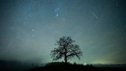 14 December 2020, Bavaria, M'nsing: A shooting star can be seen during the Geminids meteor stream in the starry sky above a tree. The Geminids are the strongest meteor stream of the year. Photo by: Matthias Balk/picture-alliance/dpa/AP Images