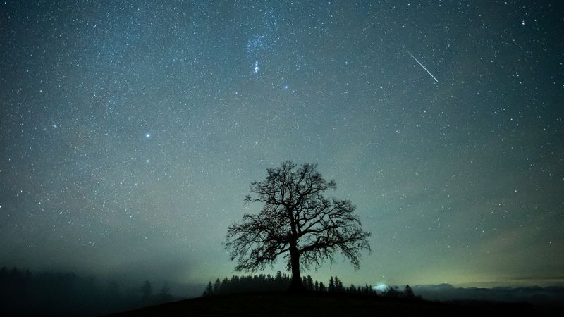 流星雨：标记你的日历，寻找 2022 年最强日历