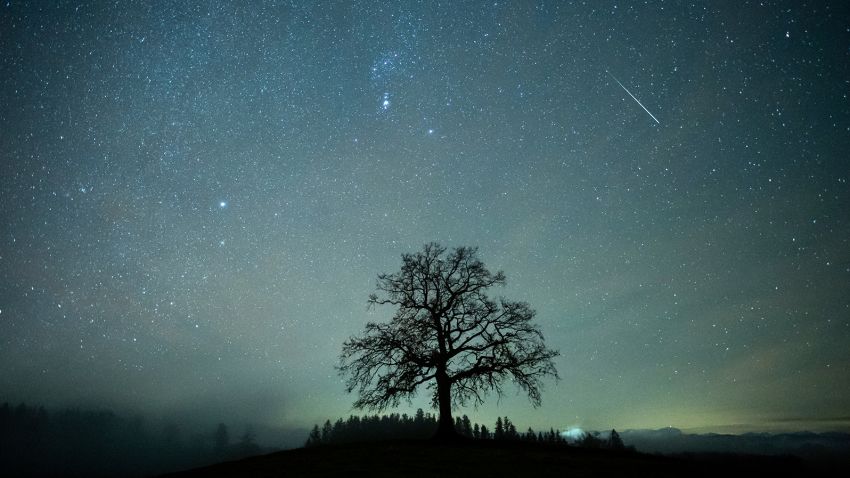 2020년 12월 14일, 바이에른, 멘징: 나무 위의 별이 빛나는 하늘에서 쌍둥이자리 유성류 동안 유성을 볼 수 있습니다.  Geminids는 올해 가장 강력한 유성류입니다.  사진: Matthias Balk / picture-alliance / dpa / AP 이미지