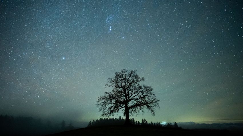 2020 年 12 月 14 日、バイエルン州、メンツィング: 木の上の星空でふたご座流星群の間に流れ星を見ることができます。 ふたご座は、その年の最強の流星群です。 写真: Matthias Balk / picture-alliance / dpa / AP Images