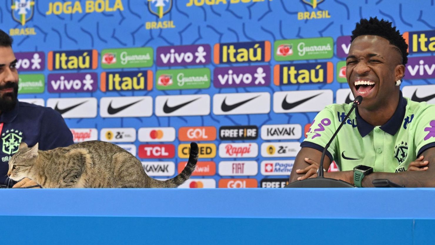 A cat climbs onto the conference table as Vinícius Jr laughs at a press conference on December 7.
