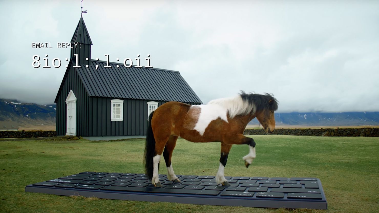 Iceland invited guests to hand their email accounts over to local horses to manage.