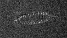 The shipwreck was discovered at a depth of about 1,350 feet (411 meters) and was captured in sonar imagery. Researchers aim to return next year with an ROV to capture footage of the wreck. 