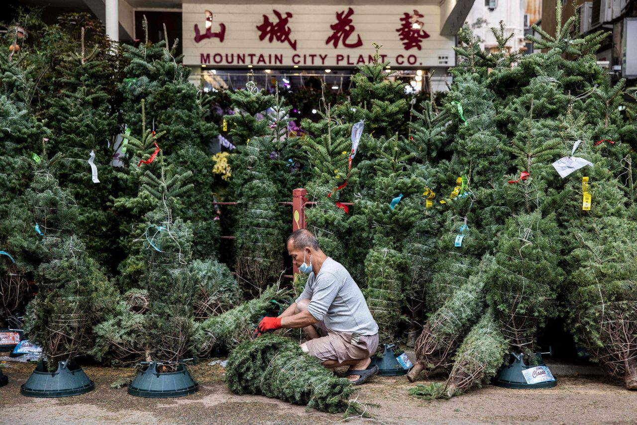 A man prepares Christmas trees to sell in Hong Kong on Friday, December 2.